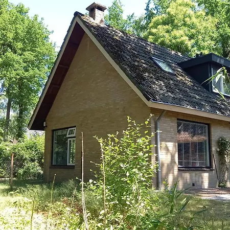 Heerlijk huisje in het Vechtdal tussen de bossen en de Vecht..-2